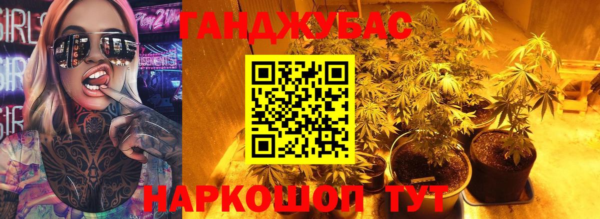Канабис гибрид  МАРИХУАНА план  Хасавюрт  Шишки марихуана семена  Вход с VPN 